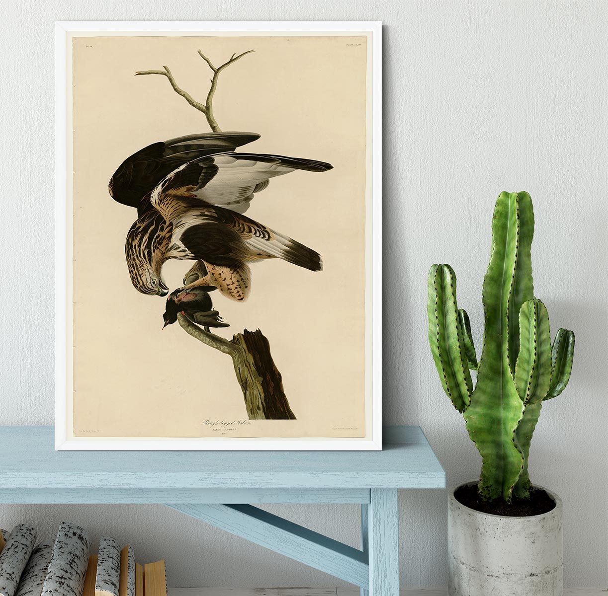 Rough legged Falcon by Audubon Framed Print - Canvas Art Rocks -6