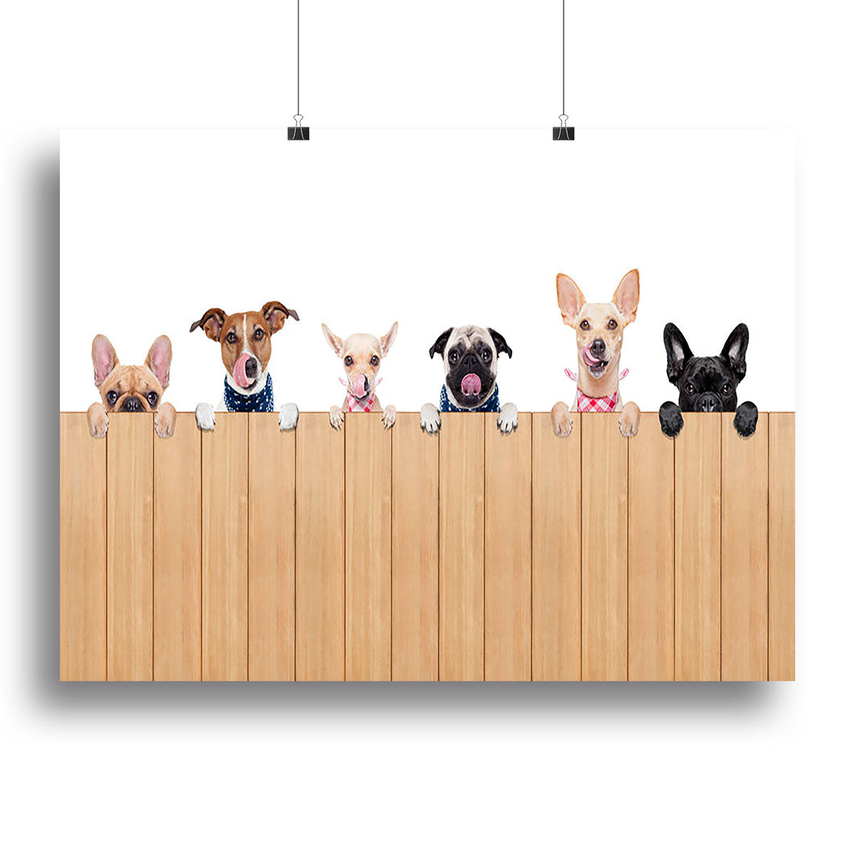 Row of dogs as a group or team all hungry Canvas Print or Poster - Canvas Art Rocks - 2