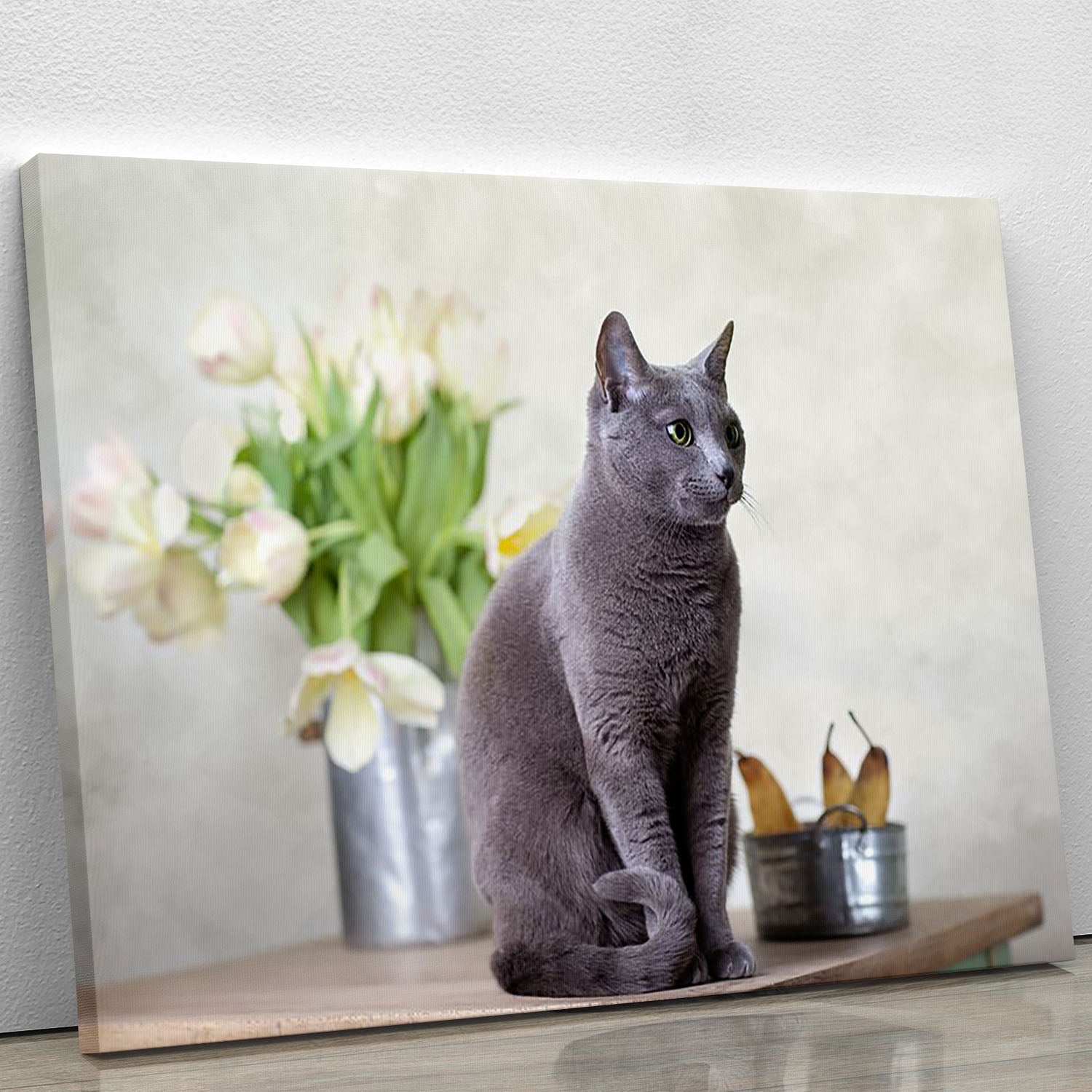 Russian Blue cat sitting on table with pears and tulips Canvas Print or Poster - Canvas Art Rocks - 1