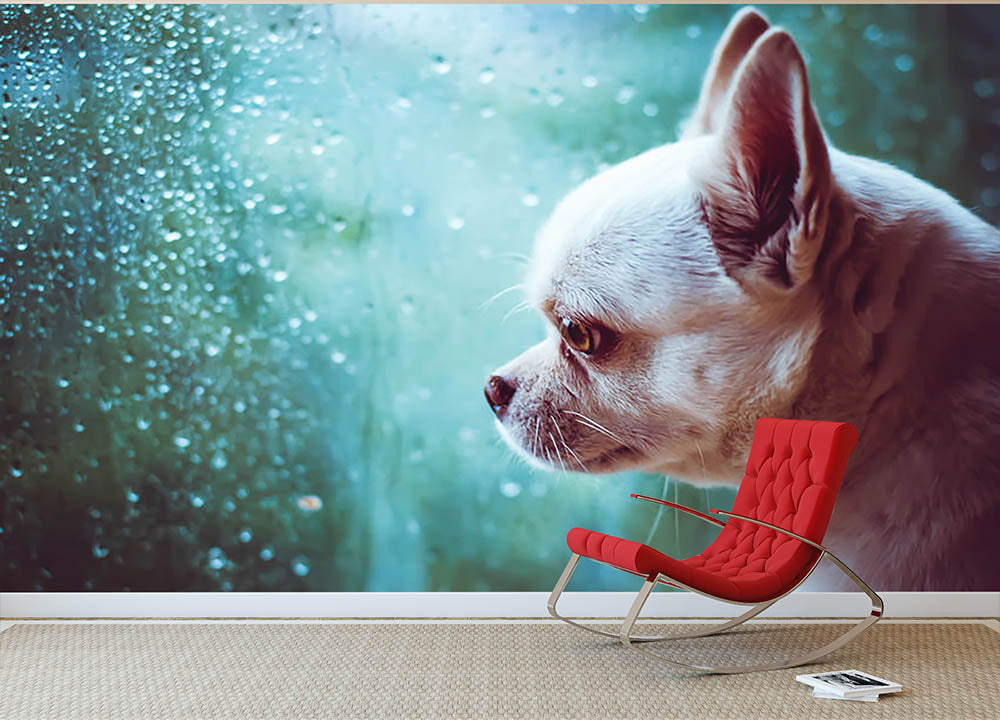 Chihuahua canvas art outlet