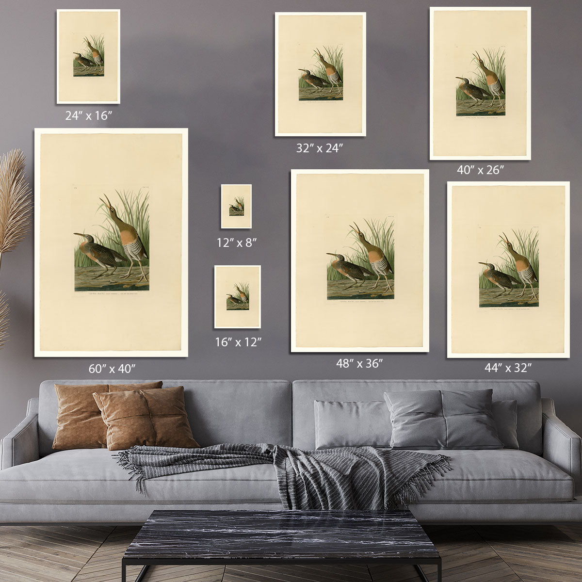 Salt Water Marsh Hen by Audubon Canvas Print or Poster - Canvas Art Rocks - 7