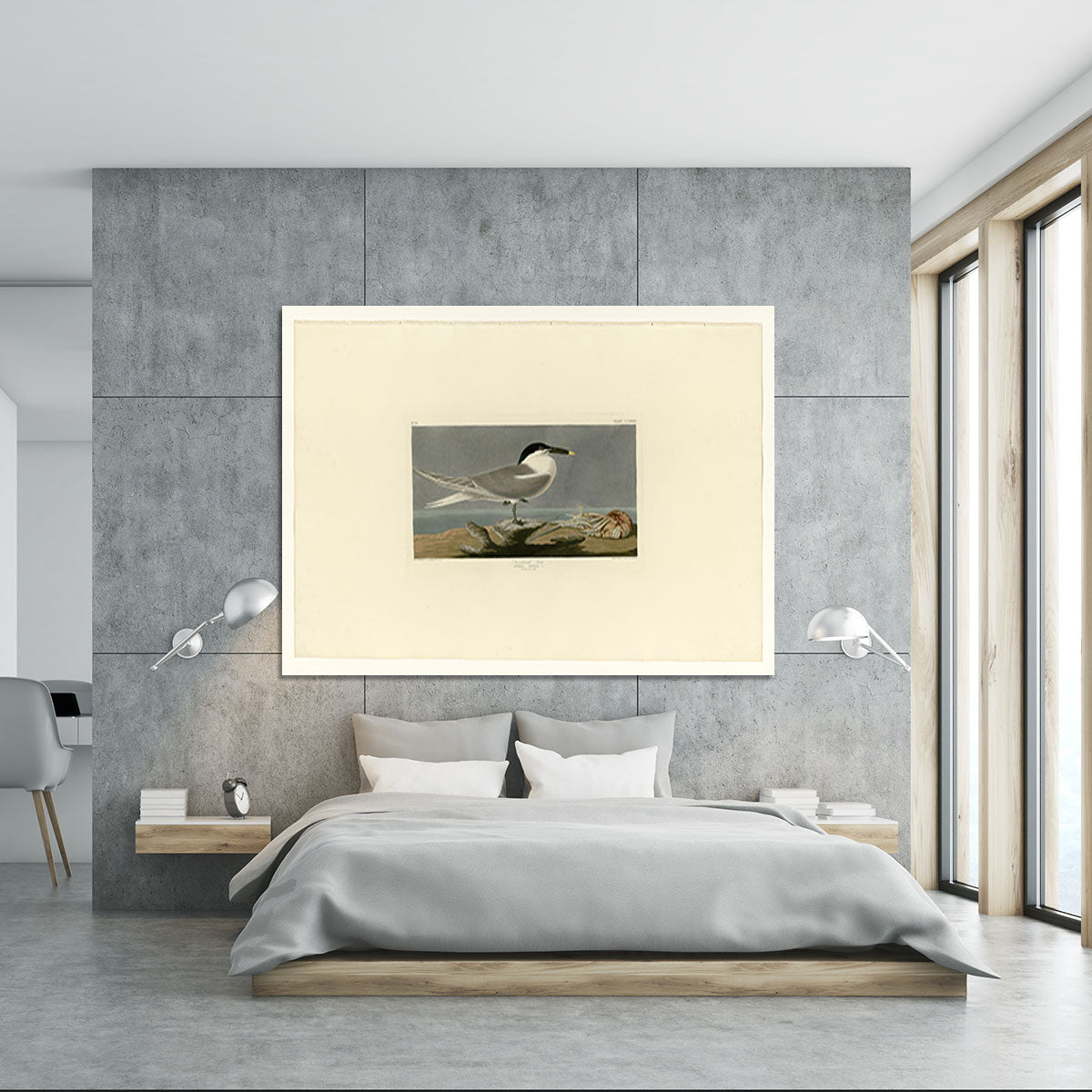 Sandwich Tern by Audubon Canvas Print or Poster - Canvas Art Rocks - 5