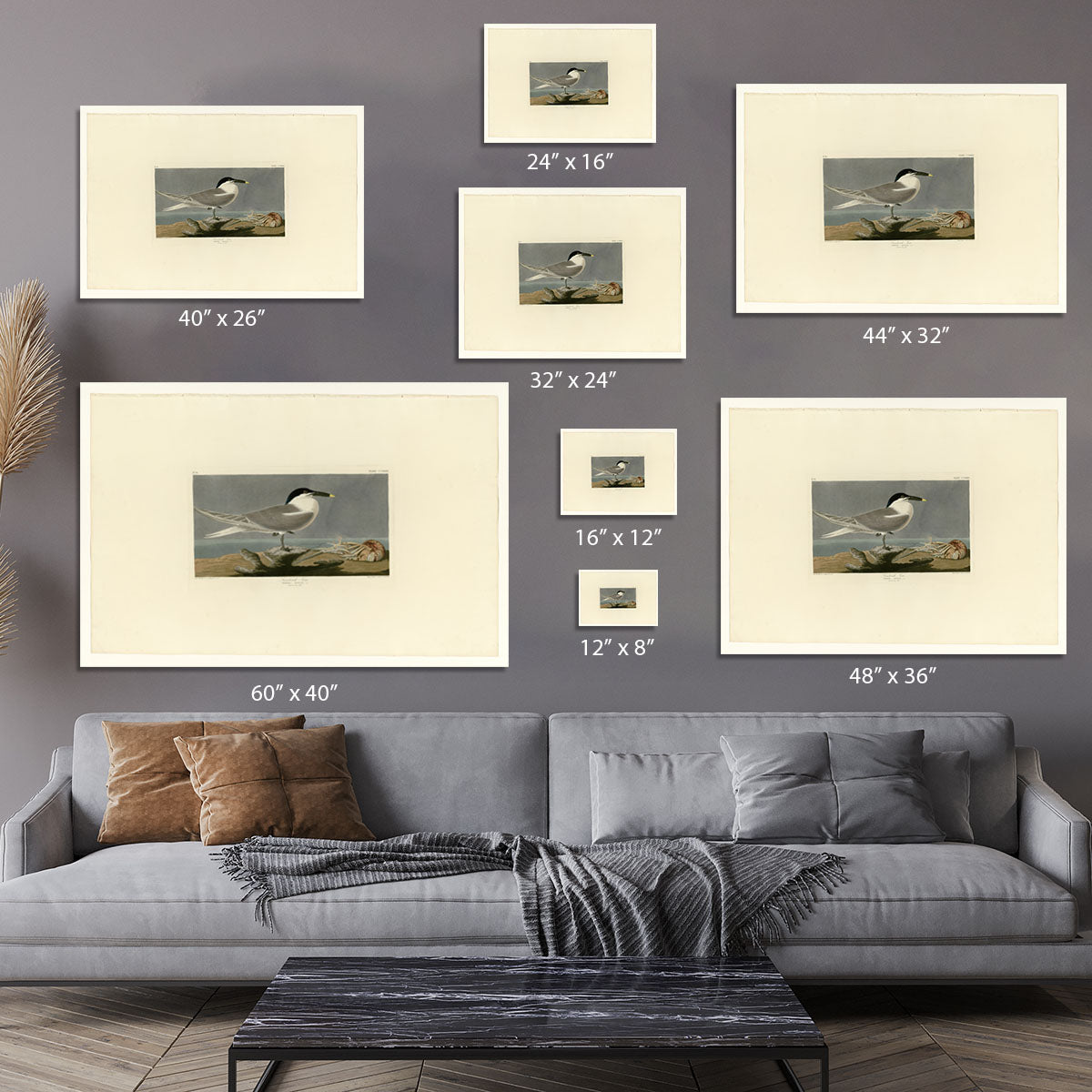 Sandwich Tern by Audubon Canvas Print or Poster - Canvas Art Rocks - 7