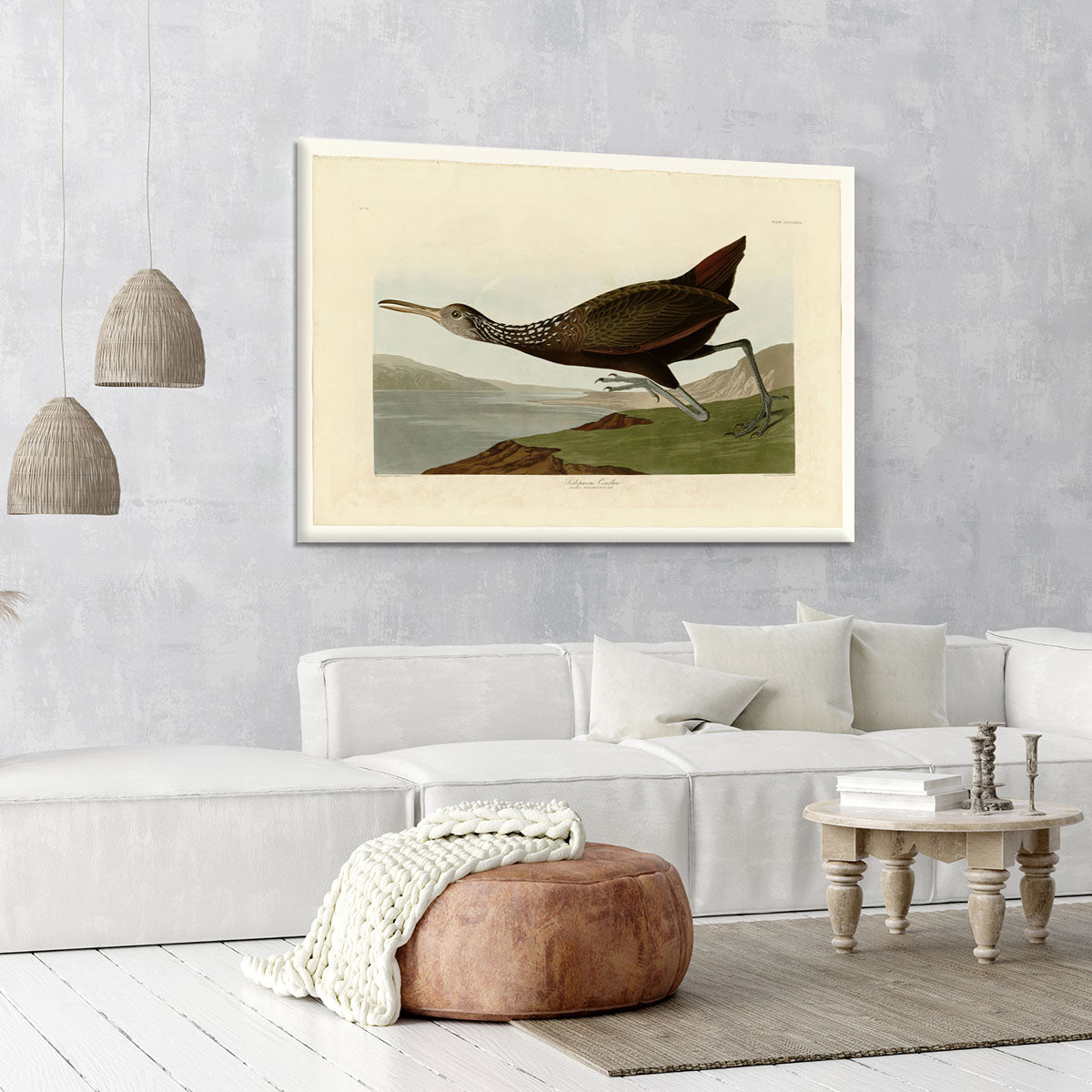 Scolopaceus Courlan by Audubon Canvas Print or Poster - Canvas Art Rocks - 6