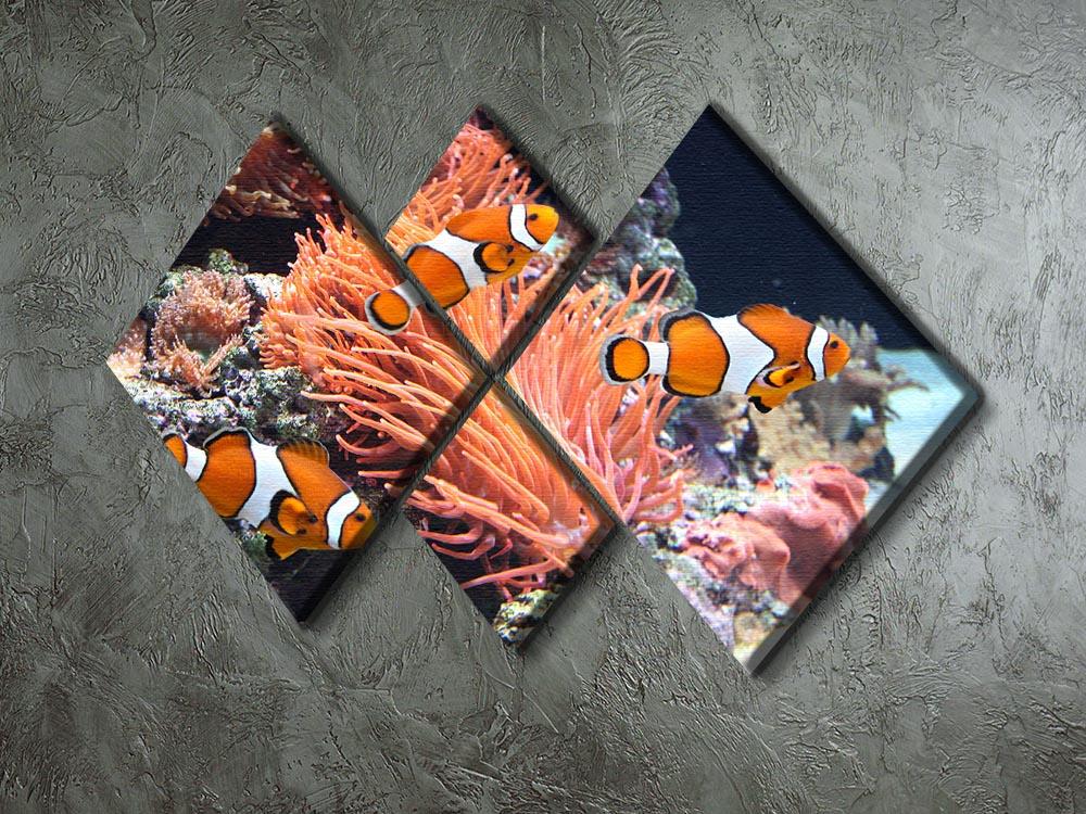 Sea anemone 4 Square Multi Panel Canvas  - Canvas Art Rocks - 2