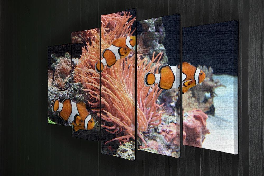 Sea anemone 5 Split Panel Canvas  - Canvas Art Rocks - 2