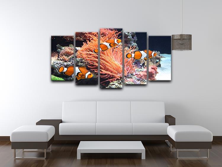 Sea anemone 5 Split Panel Canvas  - Canvas Art Rocks - 3