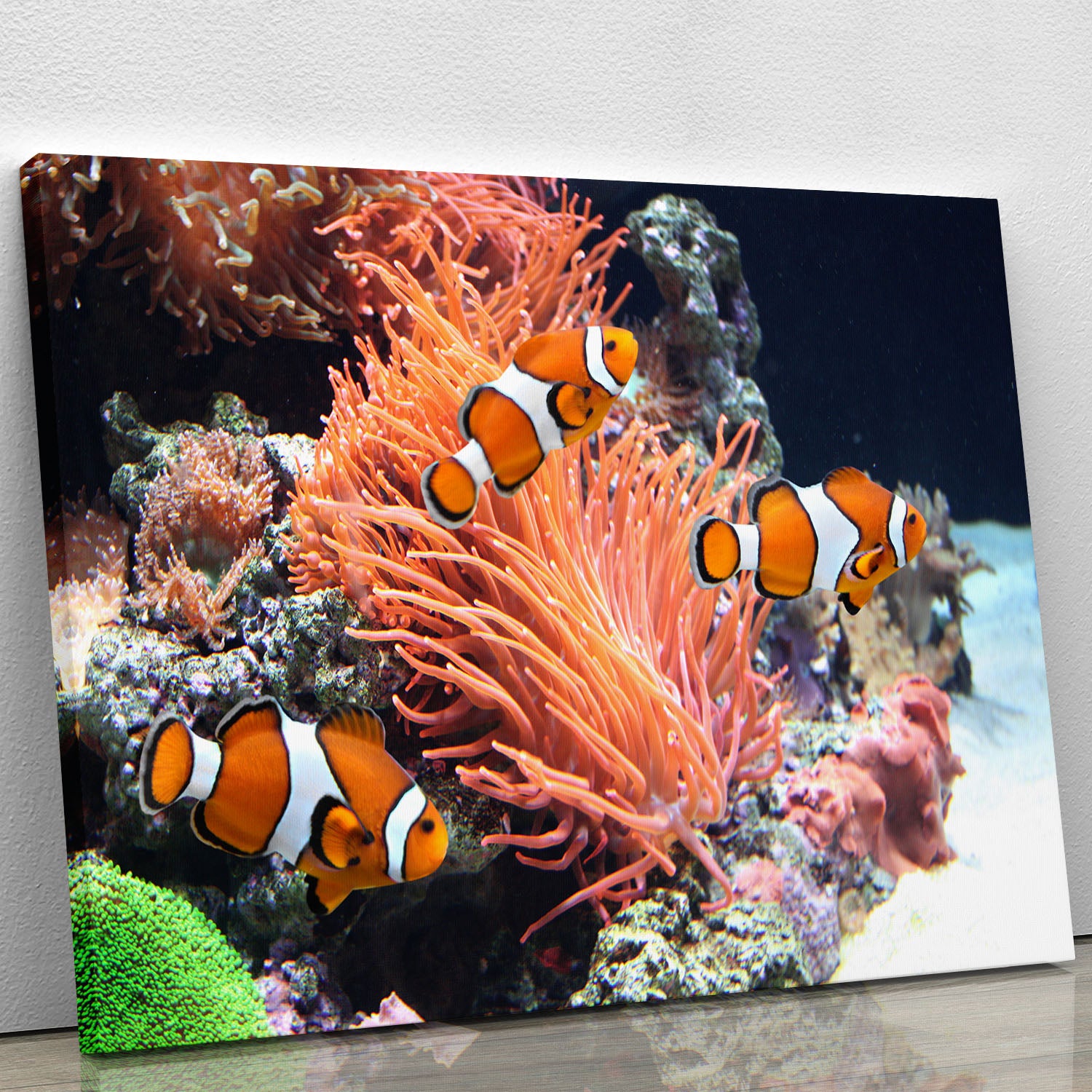 Sea anemone Canvas Print or Poster - Canvas Art Rocks - 1