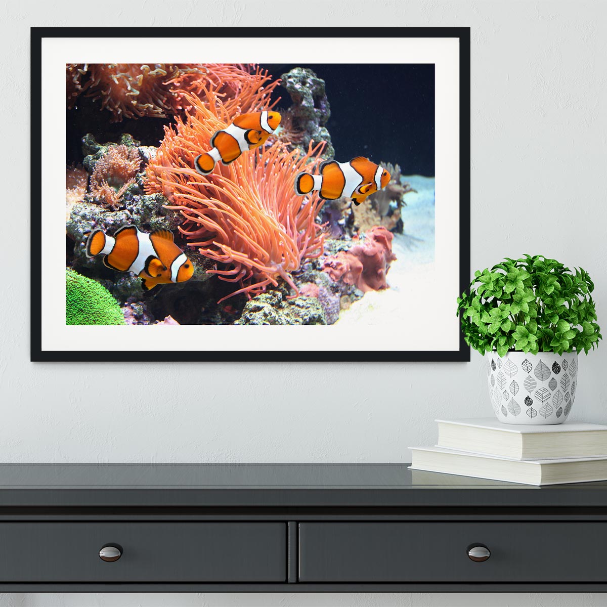 Sea anemone Framed Print - Canvas Art Rocks - 1