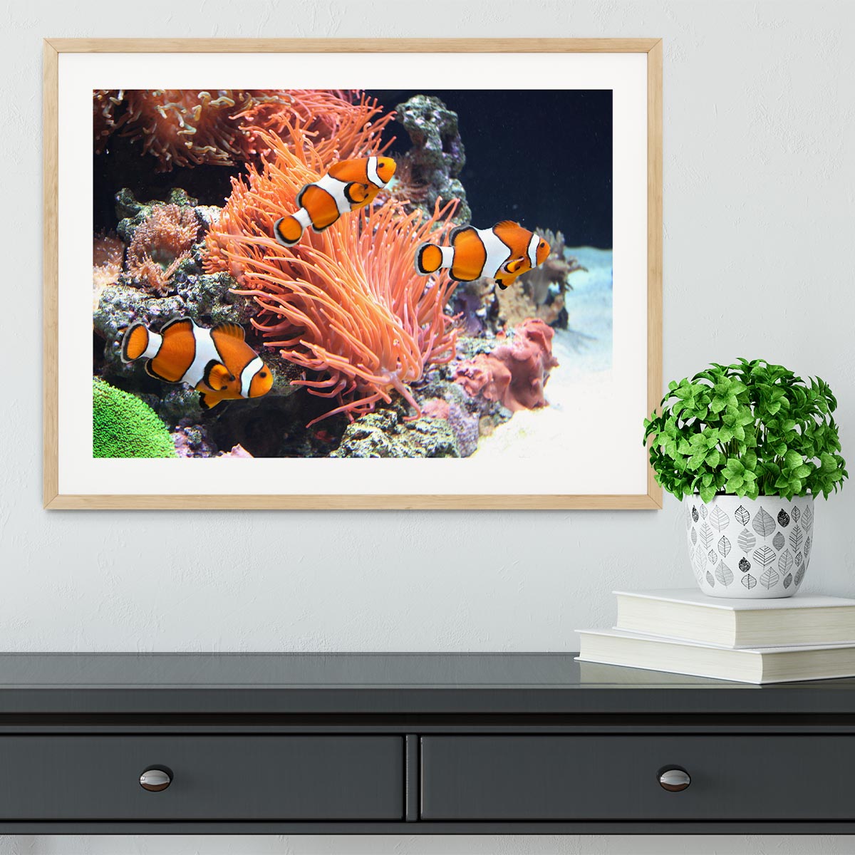 Sea anemone Framed Print - Canvas Art Rocks - 3