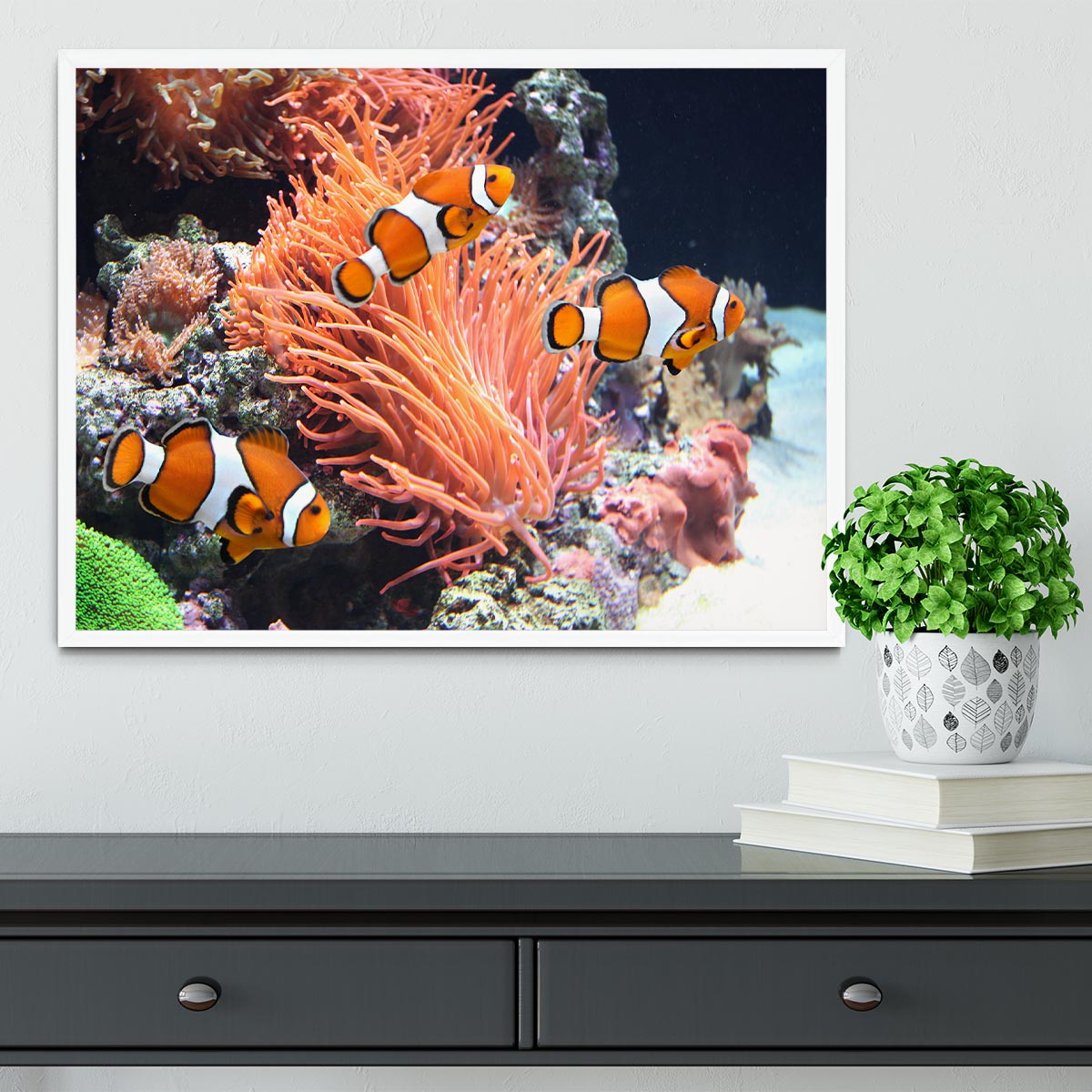 Sea anemone Framed Print - Canvas Art Rocks -6