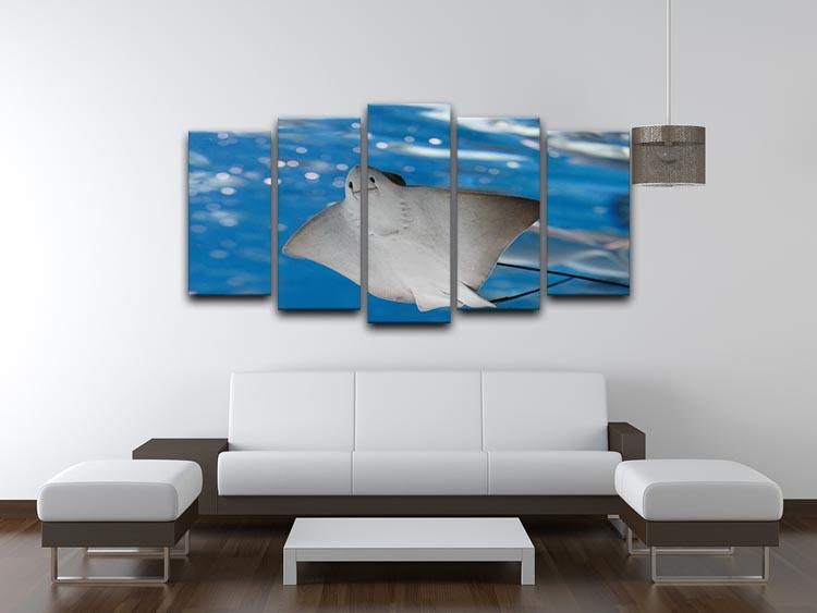 Sea stingray and marine life 5 Split Panel Canvas  - Canvas Art Rocks - 3