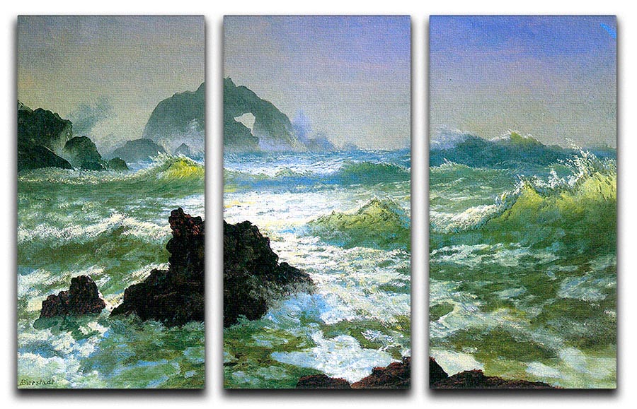 Seal Rock 2 by Bierstadt 3 Split Panel Canvas Print - Canvas Art Rocks - 1