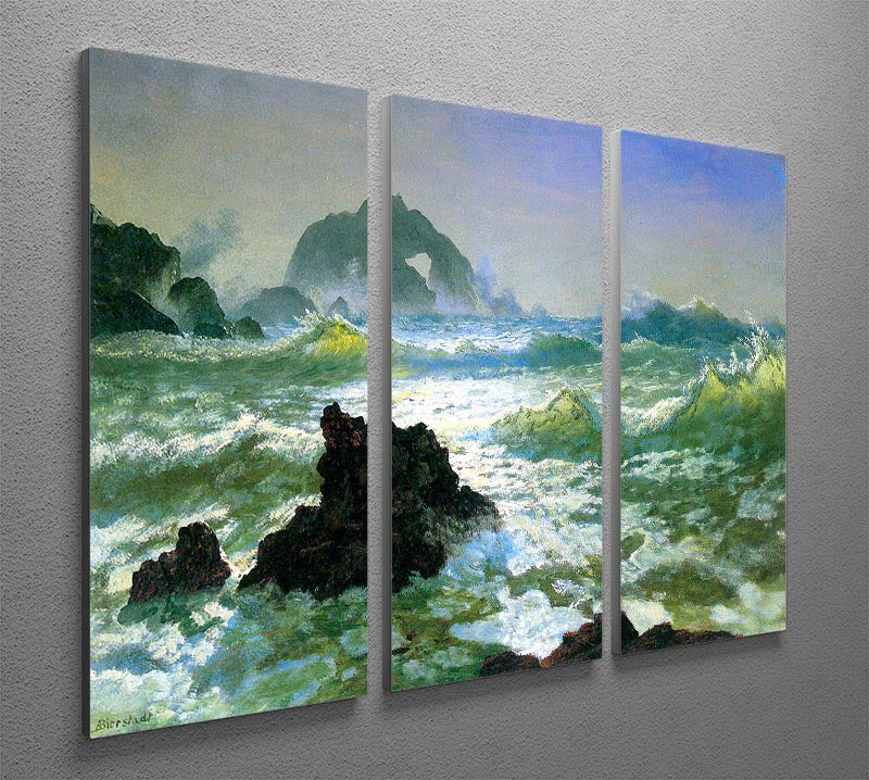 Seal Rock 2 by Bierstadt 3 Split Panel Canvas Print - Canvas Art Rocks - 2