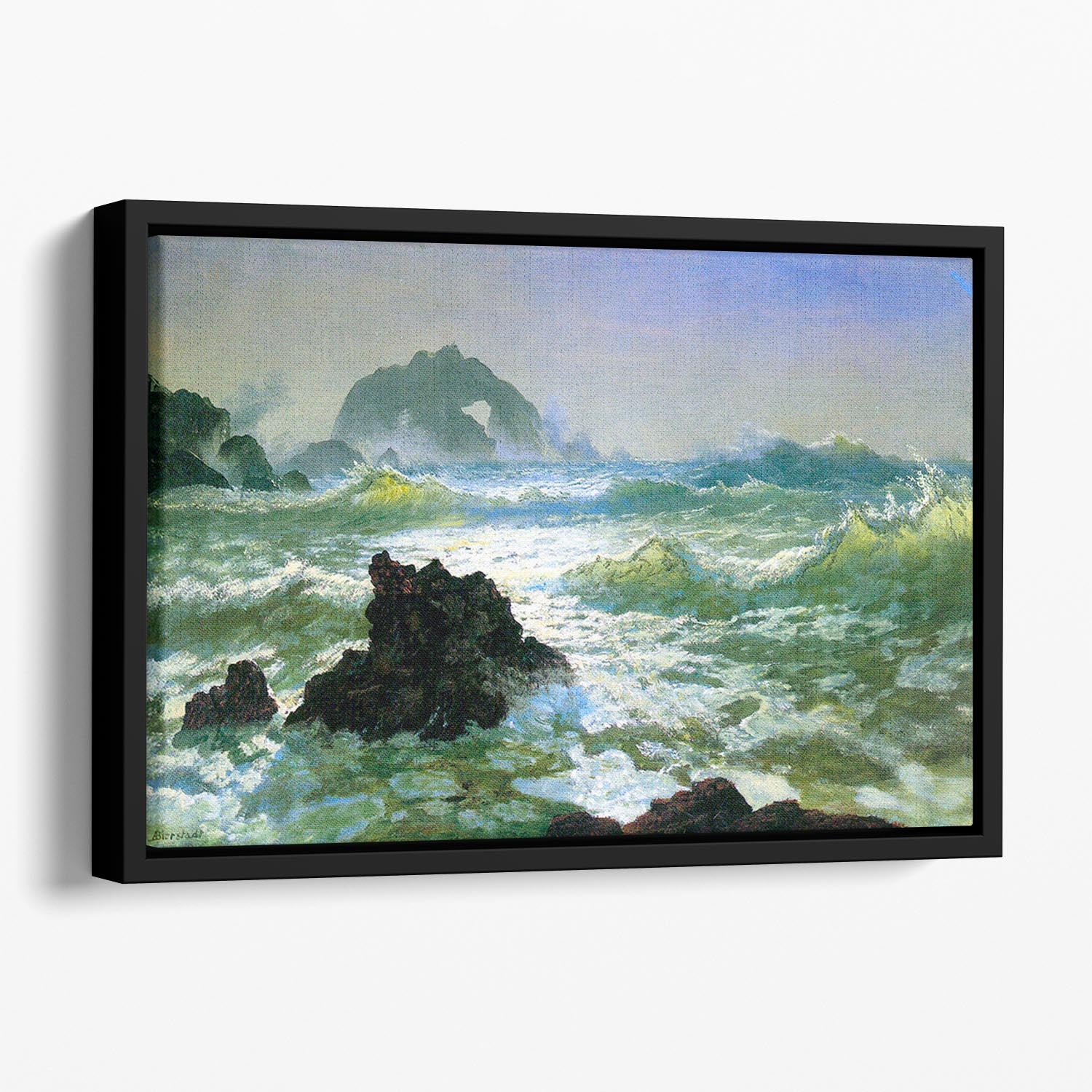 Seal Rock 2 by Bierstadt Floating Framed Canvas - Canvas Art Rocks - 1