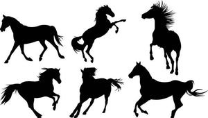 Set of horse silhouette collection Wall Mural Wallpaper - Canvas Art Rocks - 1