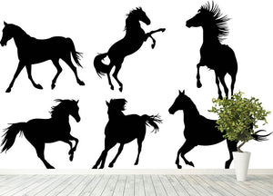 Set of horse silhouette collection Wall Mural Wallpaper - Canvas Art Rocks - 4