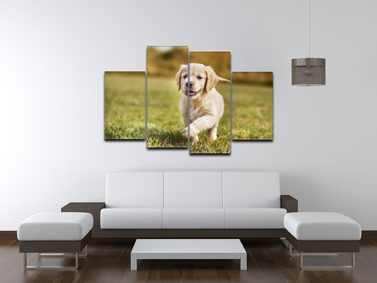 Seven week old golden retriever puppy 4 Split Panel Canvas - Canvas Art Rocks - 3