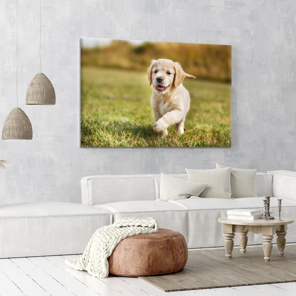 Seven week old golden retriever puppy Canvas Print or Poster - Canvas Art Rocks - 6