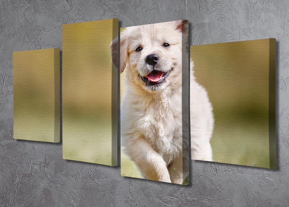 Seven week old golden retriever puppy outdoors 4 Split Panel Canvas - Canvas Art Rocks - 2