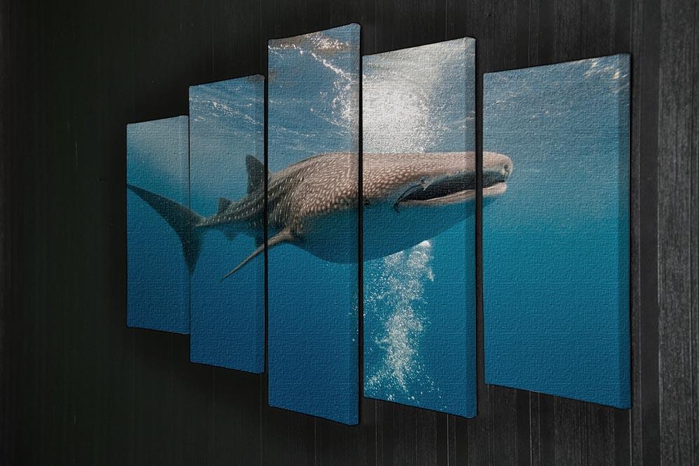 Shark 5 Split Panel Canvas  - Canvas Art Rocks - 2