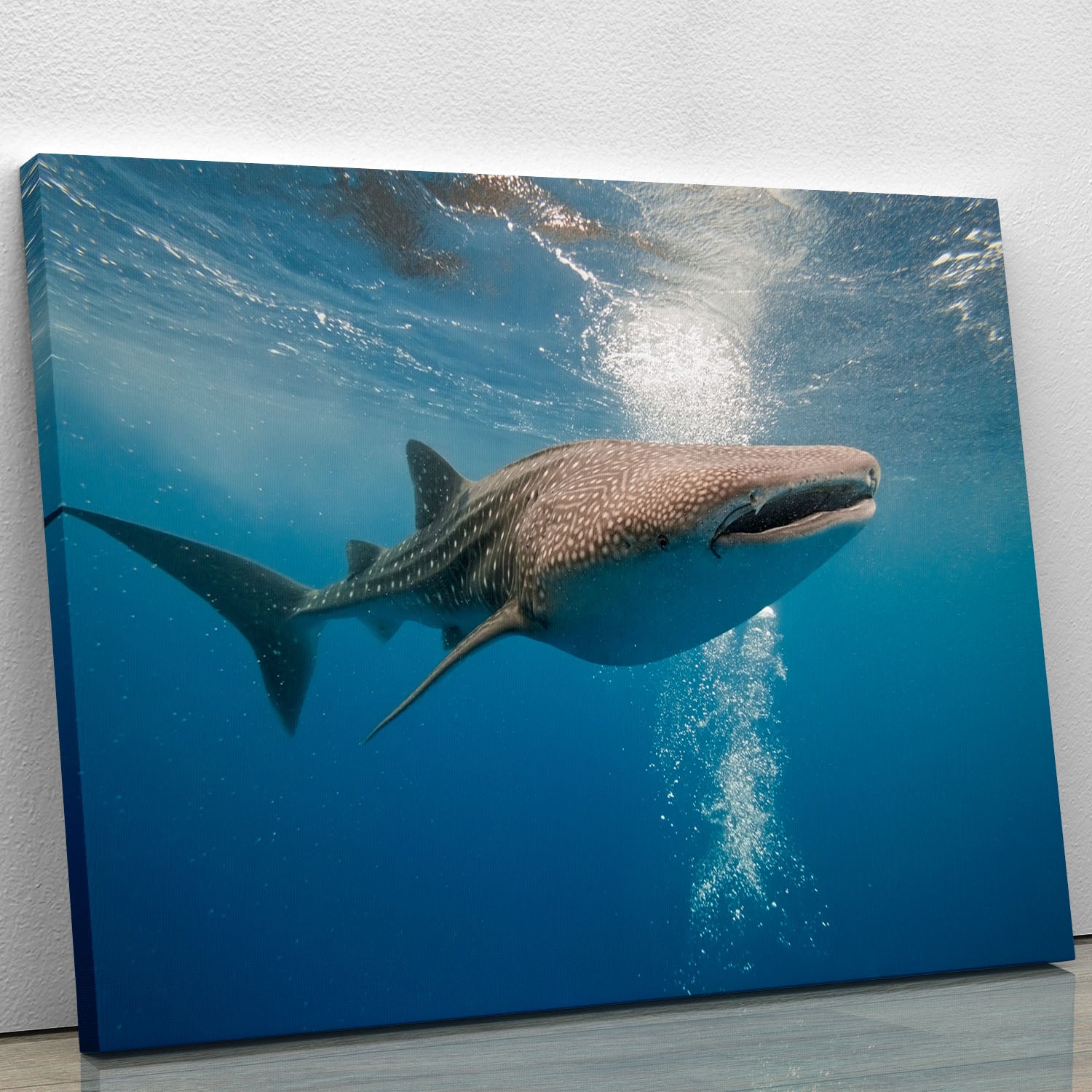 Shark Canvas Print or Poster - Canvas Art Rocks - 1