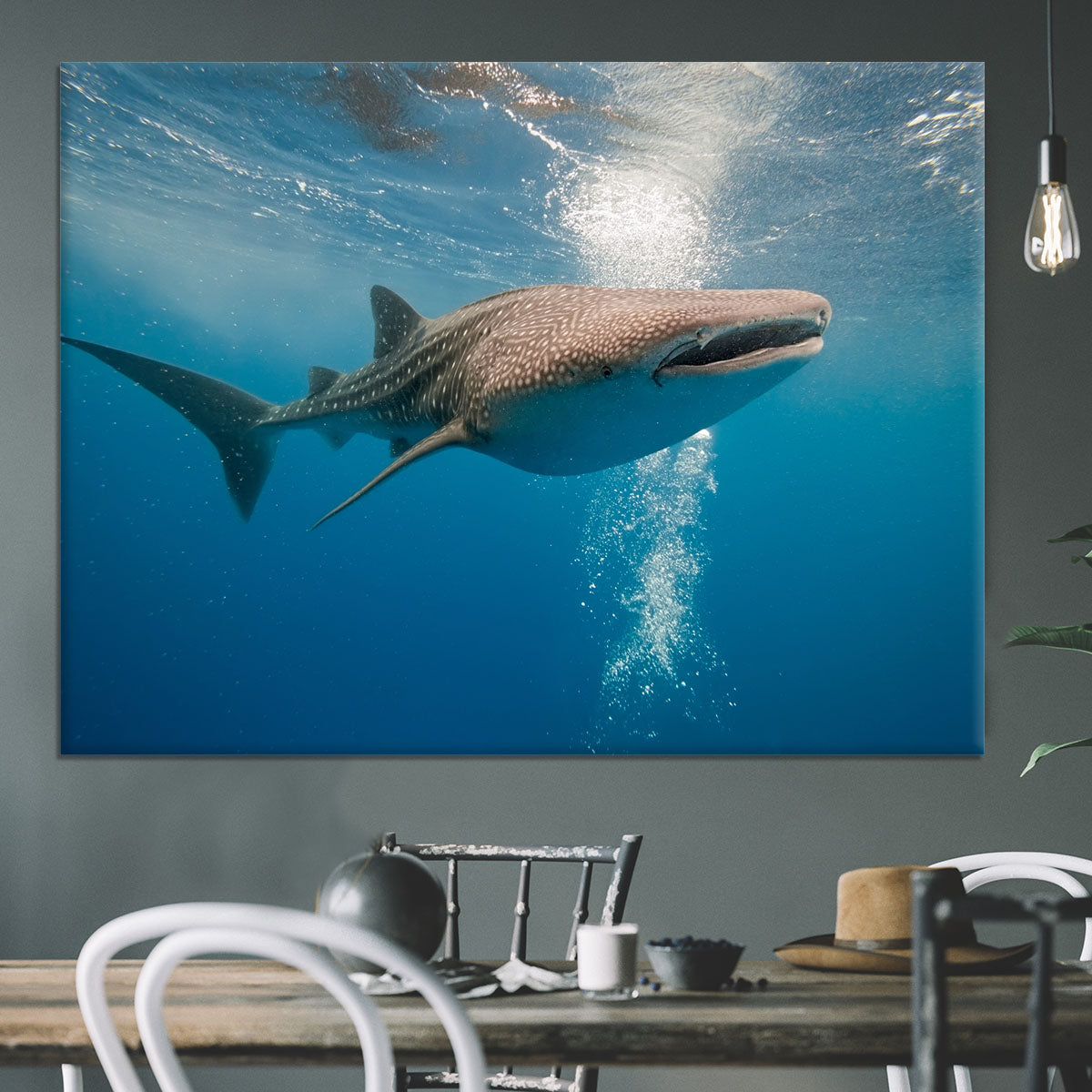 Shark Canvas Print or Poster - Canvas Art Rocks - 3