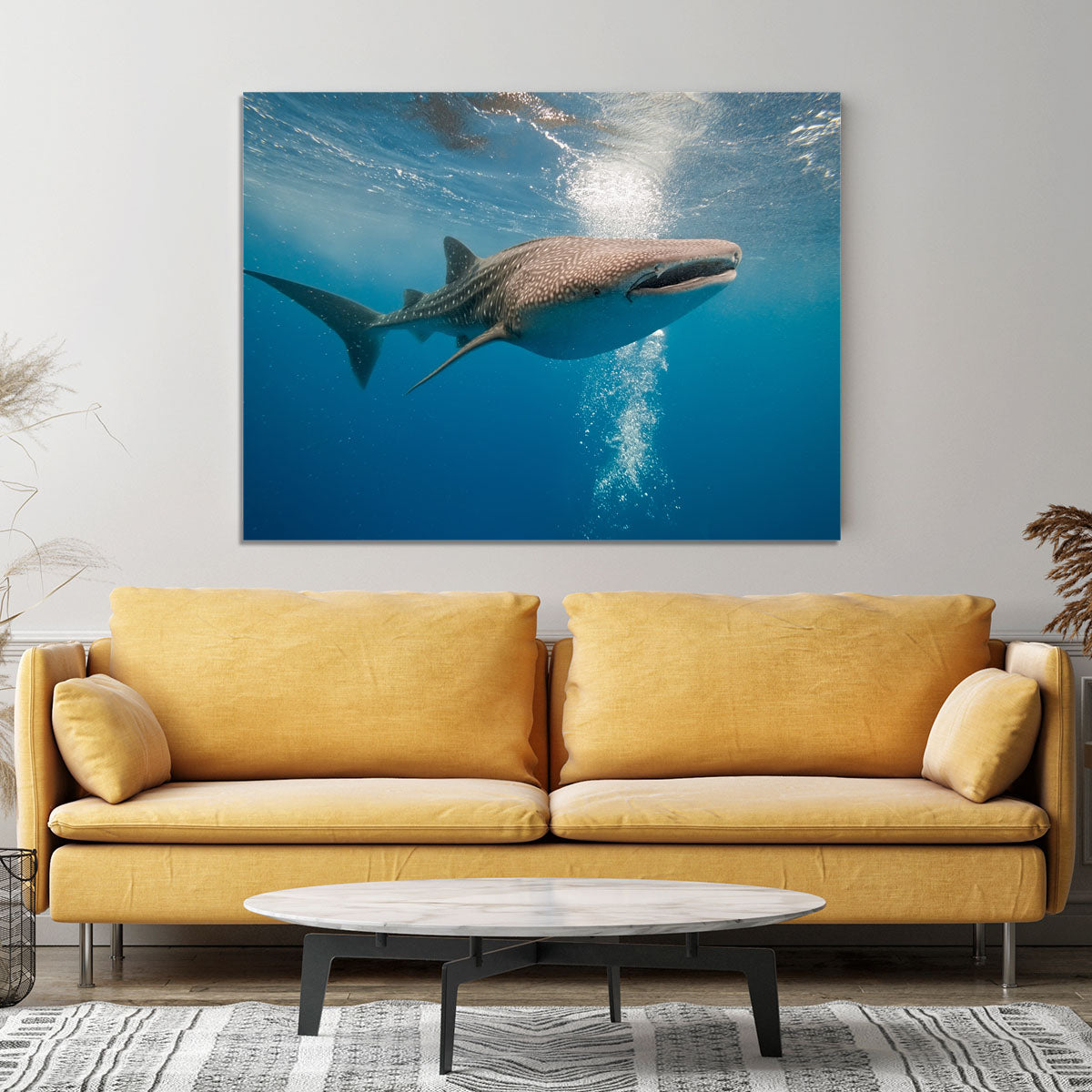 Shark Canvas Print or Poster - Canvas Art Rocks - 4