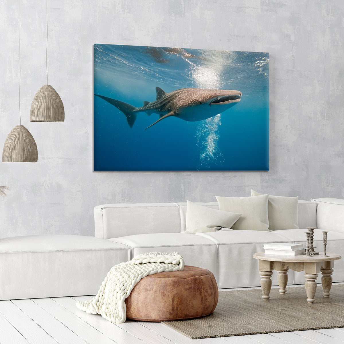 Shark Canvas Print or Poster - Canvas Art Rocks - 6