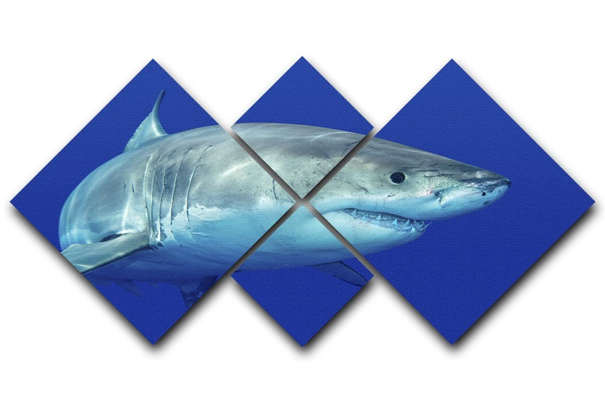 Shark swimming looking for food 4 Square Multi Panel Canvas  - Canvas Art Rocks - 1