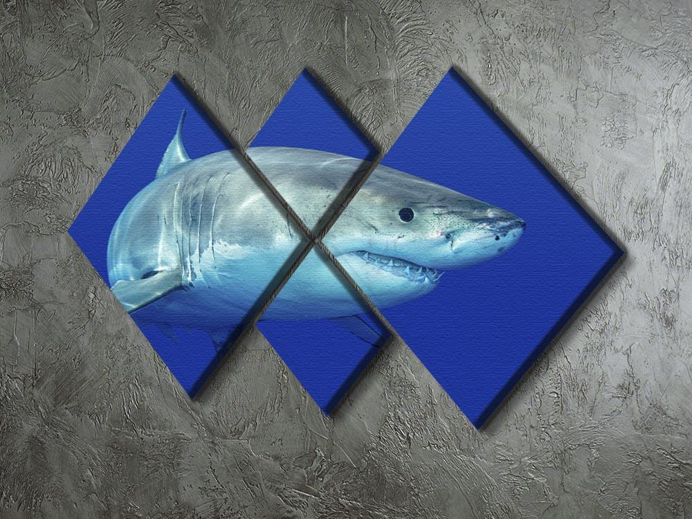 Shark swimming looking for food 4 Square Multi Panel Canvas  - Canvas Art Rocks - 2