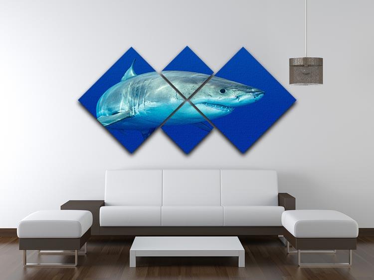 Shark swimming looking for food 4 Square Multi Panel Canvas  - Canvas Art Rocks - 3