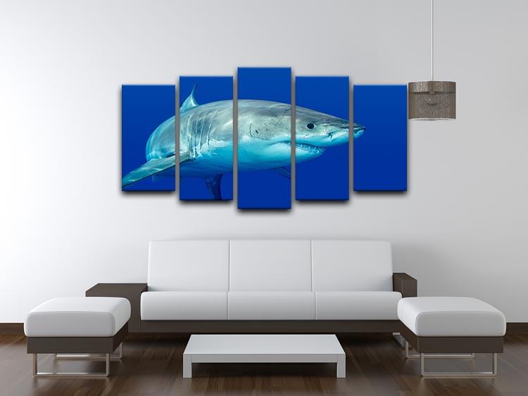 Shark swimming looking for food 5 Split Panel Canvas  - Canvas Art Rocks - 3
