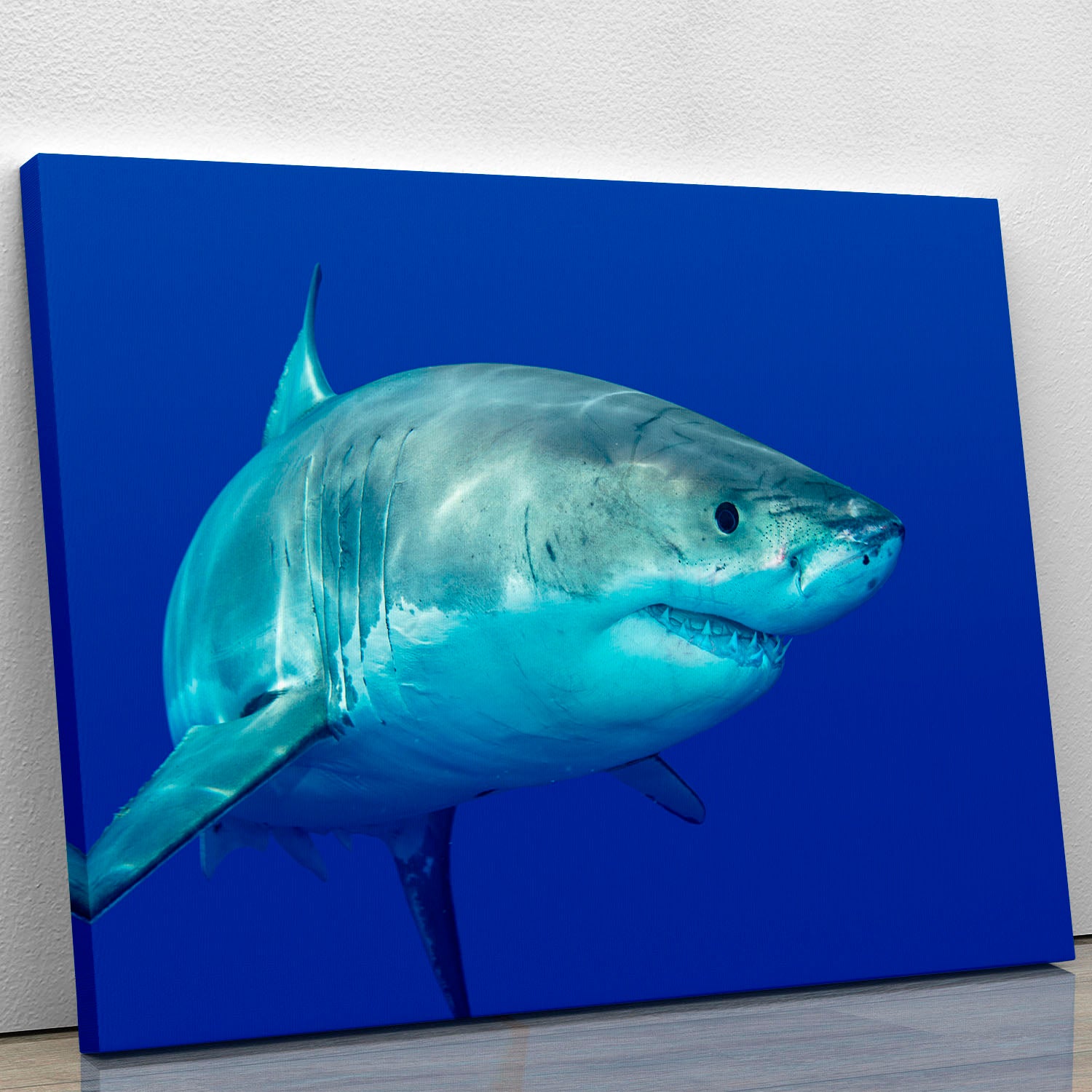 Shark swimming looking for food Canvas Print or Poster - Canvas Art Rocks - 1