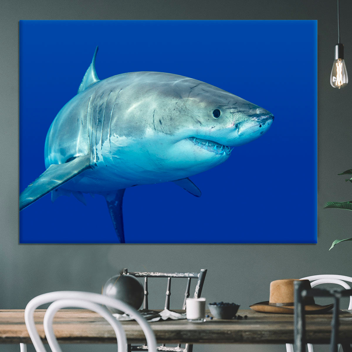 Shark swimming looking for food Canvas Print or Poster - Canvas Art Rocks - 3