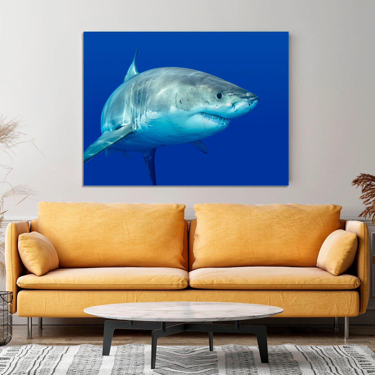 Shark swimming looking for food Canvas Print or Poster - Canvas Art Rocks - 4