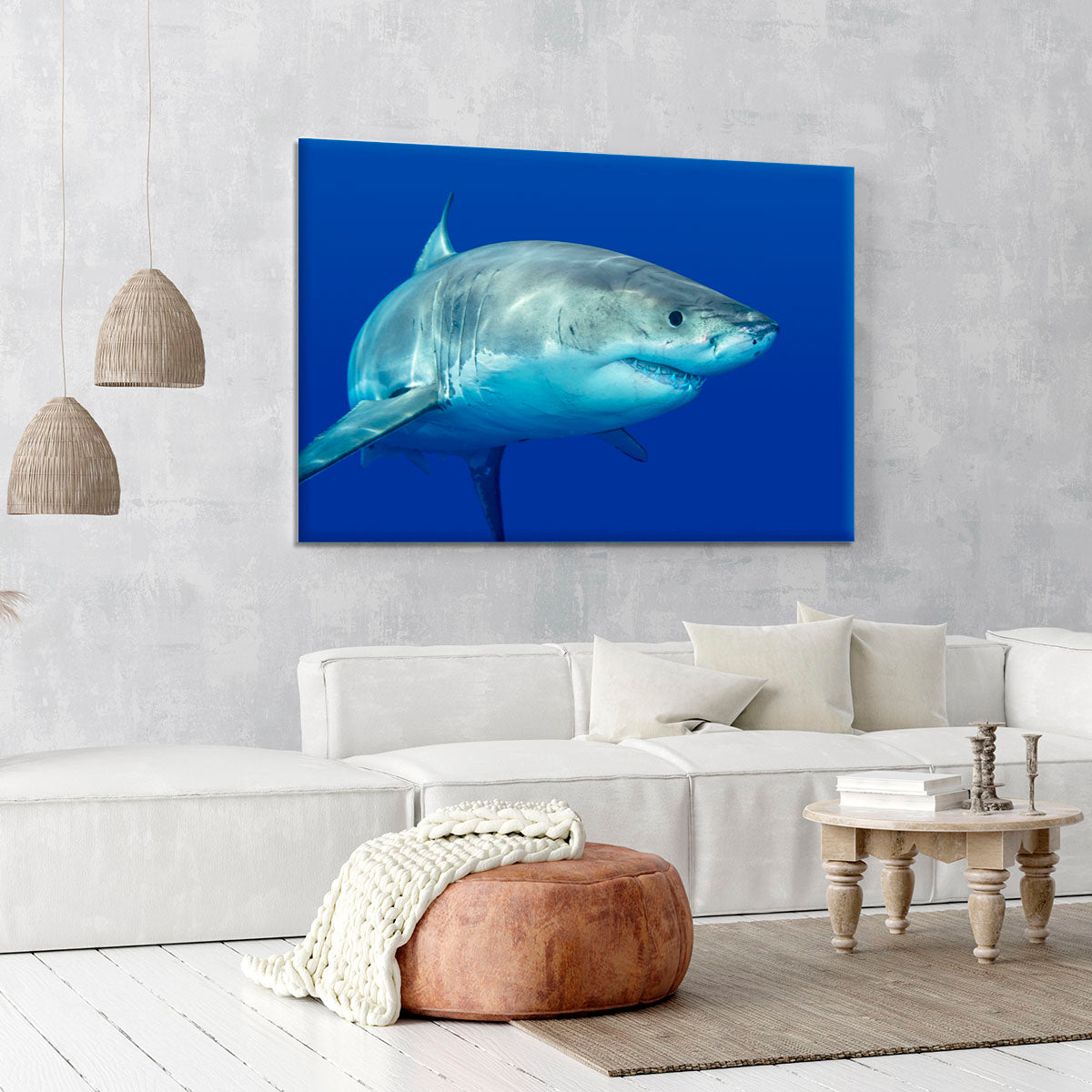Shark swimming looking for food Canvas Print or Poster - Canvas Art Rocks - 6