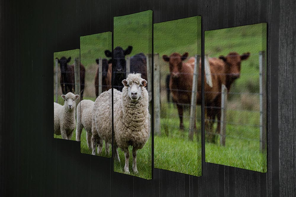 Sheep and cows 5 Split Panel Canvas - Canvas Art Rocks - 2