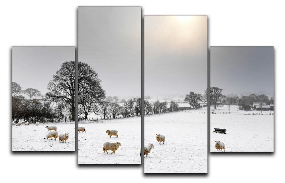 Sheep in the snow 4 Split Panel Canvas - Canvas Art Rocks - 1