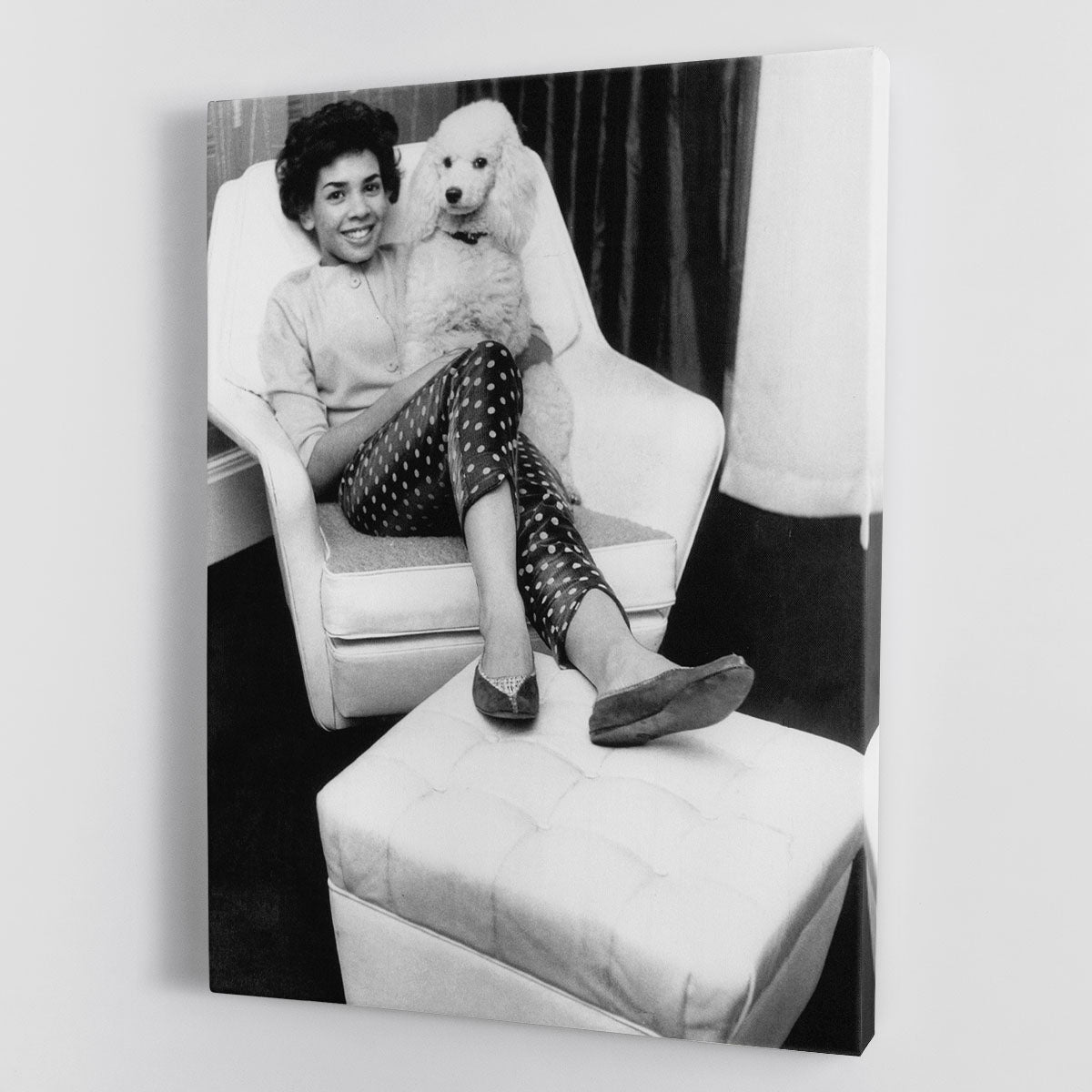 Shirley Bassey with her poodle Canvas Print or Poster - Canvas Art Rocks - 1
