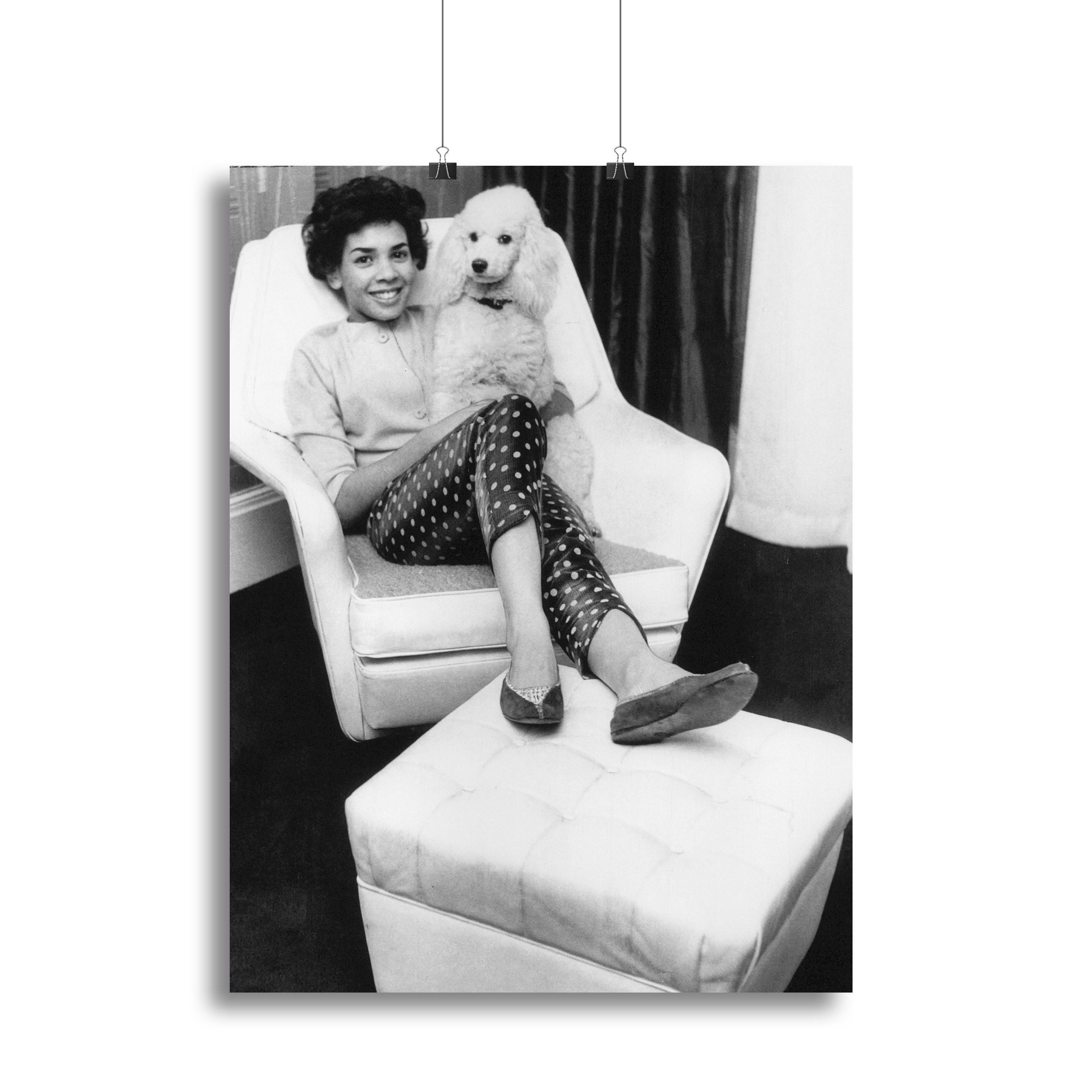 Shirley Bassey with her poodle Canvas Print or Poster - Canvas Art Rocks - 2