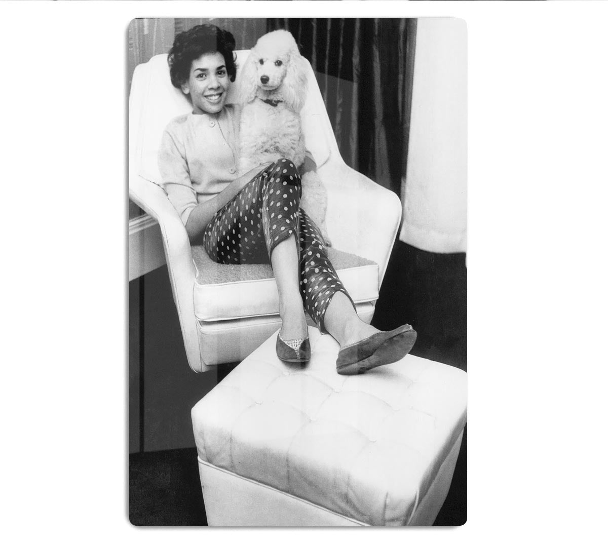 Shirley Bassey with her poodle HD Metal Print
