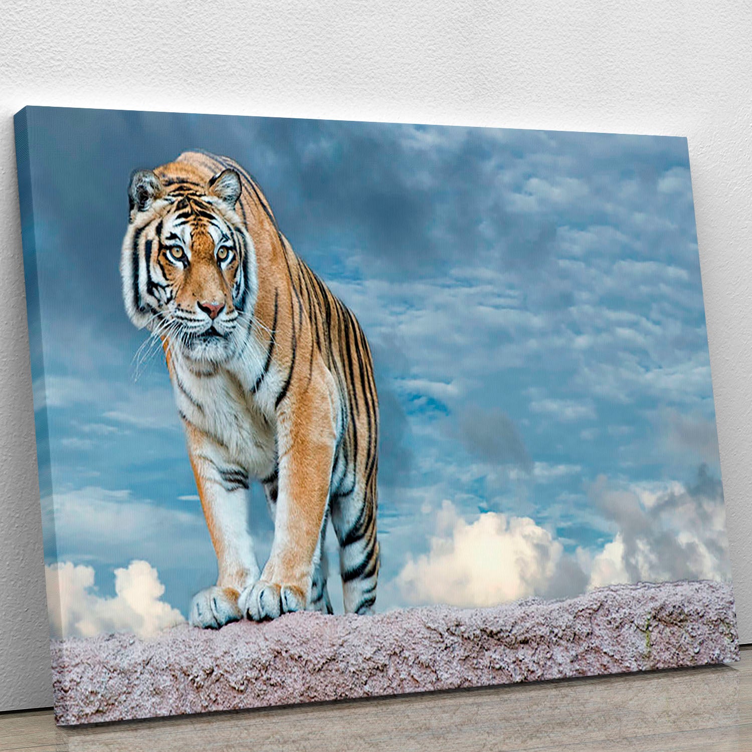 Siberian tiger ready to attack Canvas Print or Poster - Canvas Art Rocks - 1