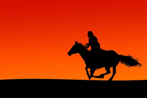 Silhouette of a horse and rider at sunset Wall Mural Wallpaper - Canvas Art Rocks - 1