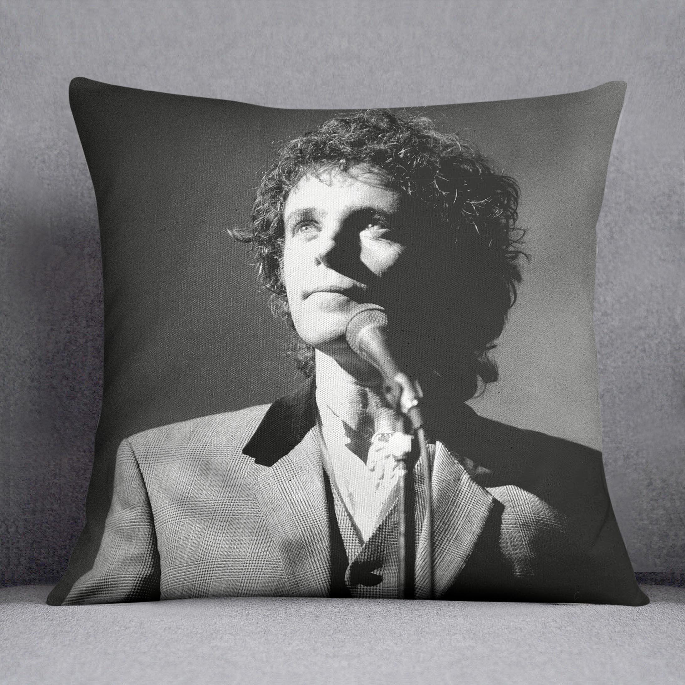 Singer and Actor David Essex Cushion
