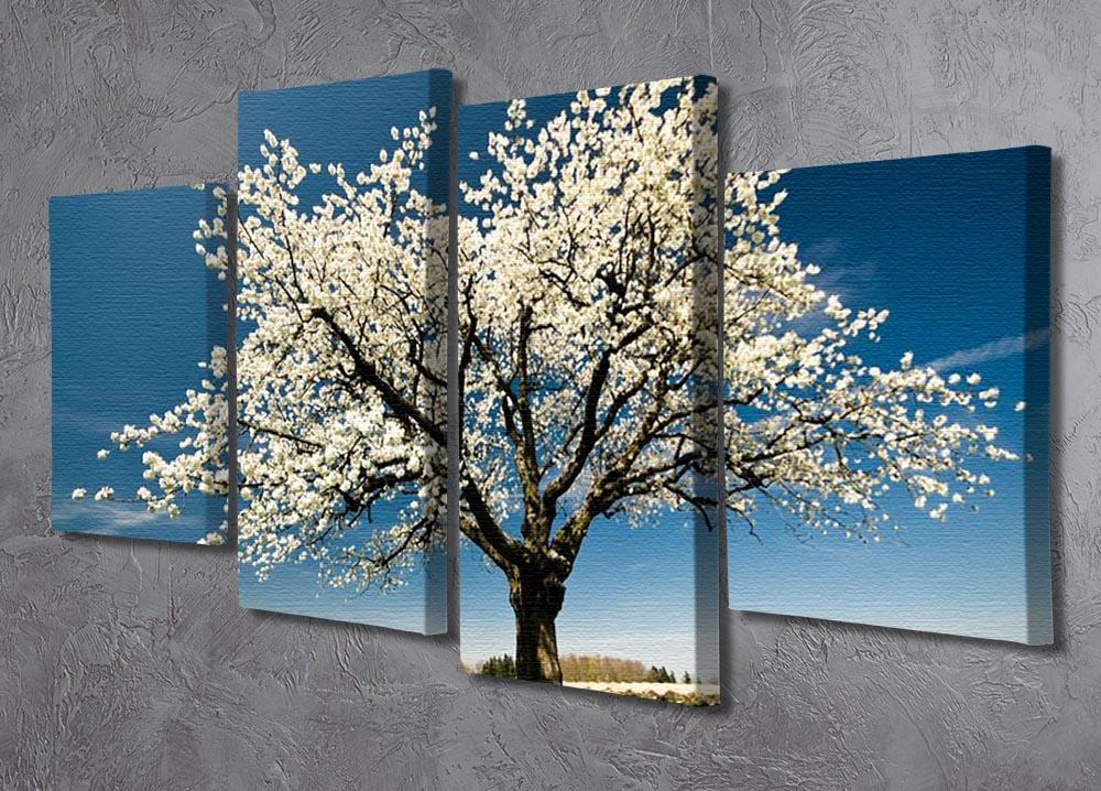 Single blossoming tree in spring 4 Split Panel Canvas  - Canvas Art Rocks - 2