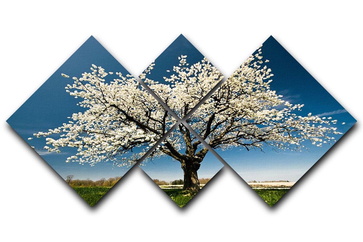 Single blossoming tree in spring 4 Square Multi Panel Canvas  - Canvas Art Rocks - 1