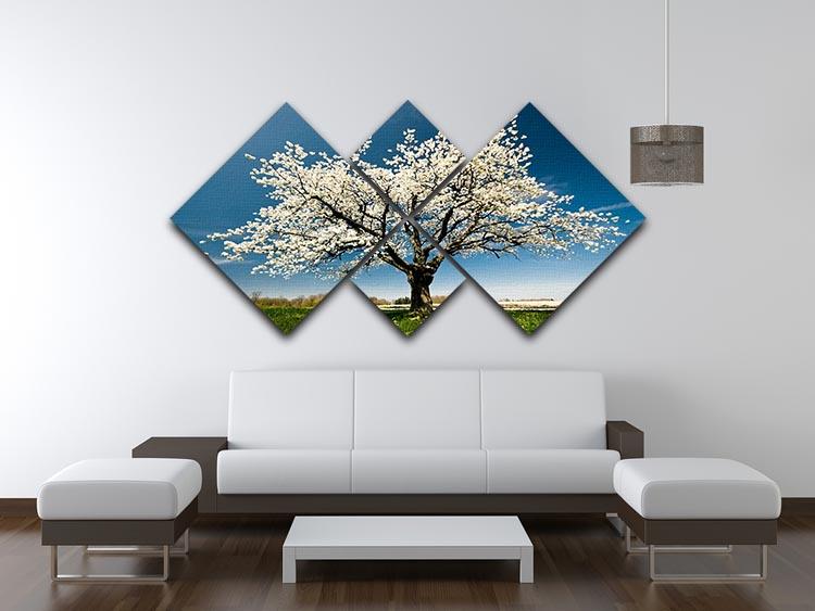 Single blossoming tree in spring 4 Square Multi Panel Canvas  - Canvas Art Rocks - 3