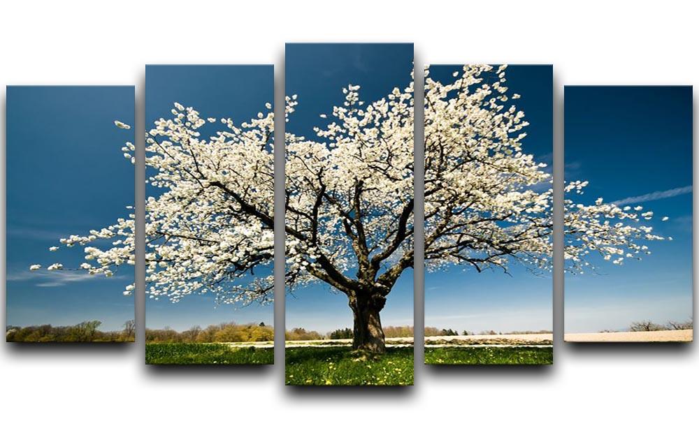 Single blossoming tree in spring 5 Split Panel Canvas  - Canvas Art Rocks - 1