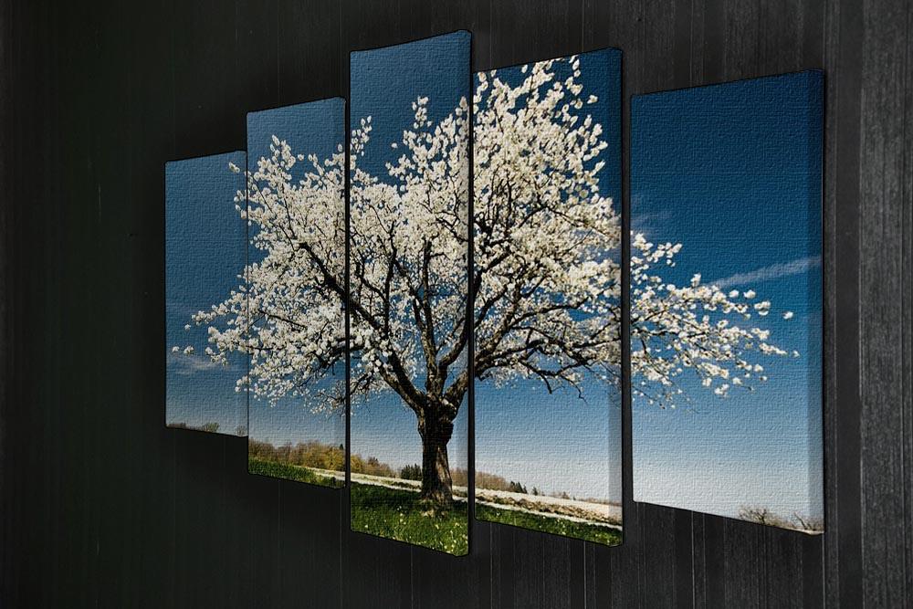 Single blossoming tree in spring 5 Split Panel Canvas  - Canvas Art Rocks - 2